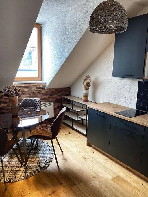 Cozy And Warm Apartment In The Heart Of Karlsbad